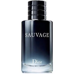 送料無料 クリスチャンディオール ソバージュ Edt Sp 100ml ソヴァージュ Christian Dior 香水 メンズ Ndpa Org