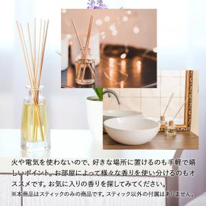 リードディフューザー スティック リードスティ...の詳細画像4