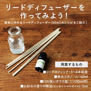 リードディフューザー スティック リードスティ...の詳細画像5