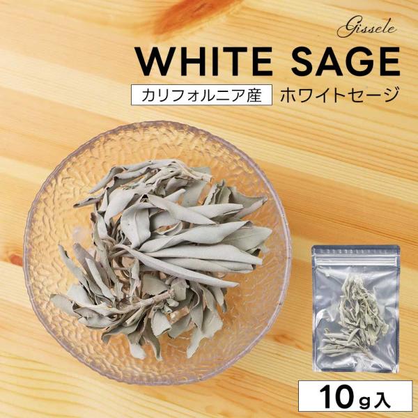 セール ホワイトセージ リーフ 浄化用 Gissele ジゼル 10g 枝付き クラスター カリフォ...