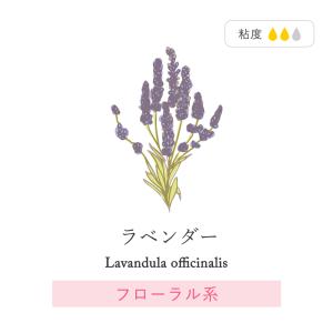アロマオイル ラベンダー 5ml 5本 ベンダ...の詳細画像2