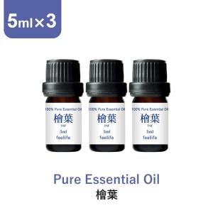 アロマオイル ひば 5ml 3本セット 国産 青森ヒバ エッセンシャルオイル feellife 天然100% ピュア ヒバオイル ヒバ油 ヒバ精油｜香りで彩るくらしfeellifeYahoo!店