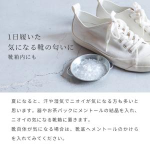 メントールクリスタル 100g スプレーボトル...の詳細画像4