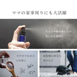メントールクリスタル 100g スプレーボトル...の詳細画像5