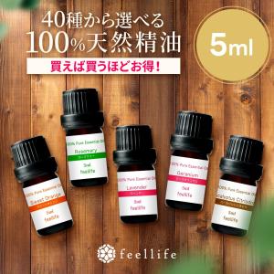 「ワンコインプライス & 最大半額クーポン」 ア...の商品画像