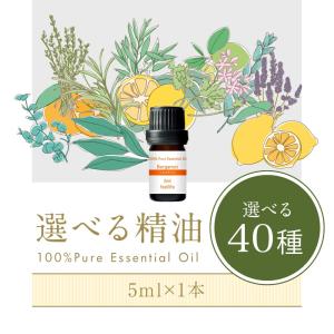 「ワンコインプライス & 最大半額クーポン」 ...の詳細画像2