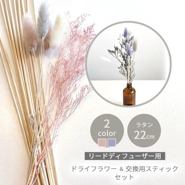 リードディフューザー スティック リードスティック ラタンスティック 22cm ドライフラワー セッ...
