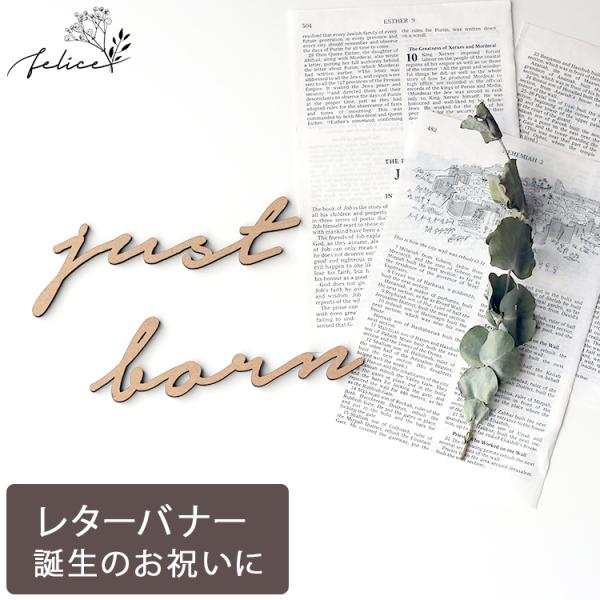 Just Born ウッドレター No.5シリーズ 小文字ver 木製 出産 新生児 赤ちゃん 誕生...