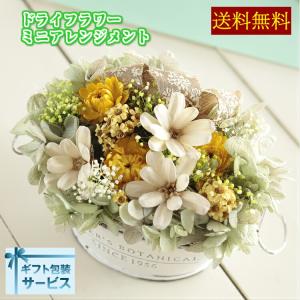 ミモザ ドライフラワーの商品一覧 通販 Yahoo ショッピング