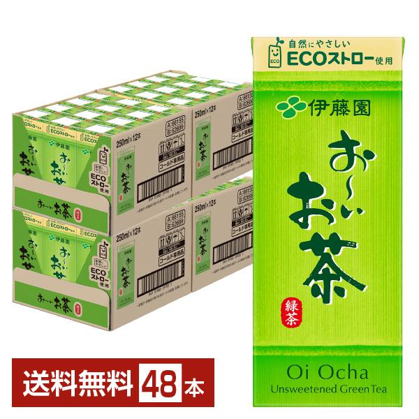 伊藤園 おーいお茶 緑茶 250ml 紙パック 24本×2ケース（48本） 送料無料