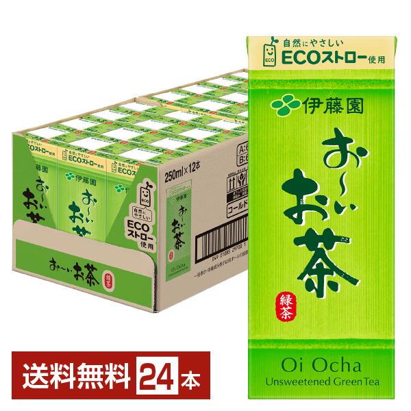 伊藤園 おーいお茶 緑茶 250ml 紙パック 24本 1ケース 送料無料