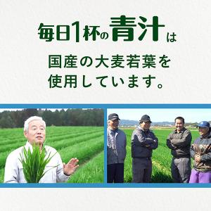 伊藤園 粉末 毎日1杯の青汁 糖類不使用 10...の詳細画像1