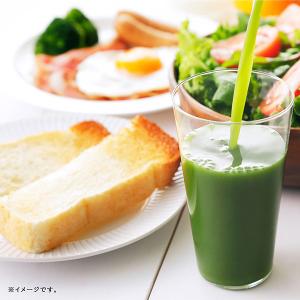 伊藤園 粉末 毎日1杯の青汁 糖類不使用 10...の詳細画像2