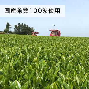 伊藤園 おーいお茶 ピュアグリーン 緑茶 2L...の詳細画像3