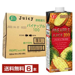 ジューシー パイナップル100％ [1000ml紙×6本入] : JA熊本果実連