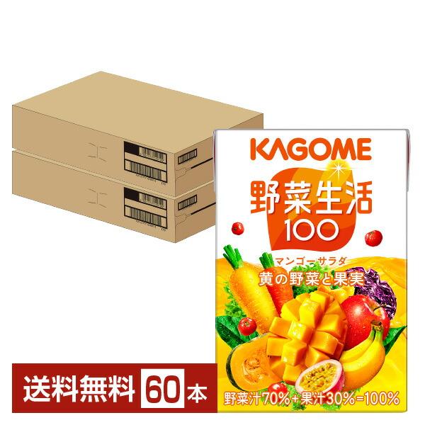 カゴメ 野菜生活 100 マンゴーサラダ 100ml 紙パック 30本×2ケース（60本） 送料無料