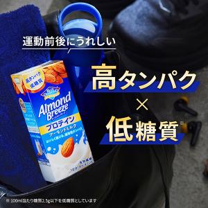 ポイント15倍 アーモンド ブリーズ プロテイ...の詳細画像1