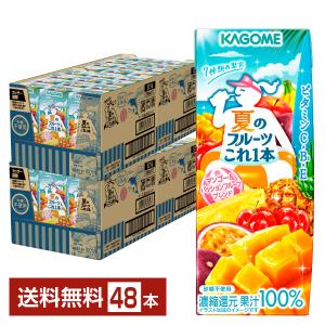 季節限定 夏のフルーツこれ1本 マンゴー&パッシ...の商品画像