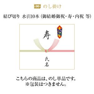 熨斗【のし単品】【結び切り水引10本】 結婚内祝...の商品画像