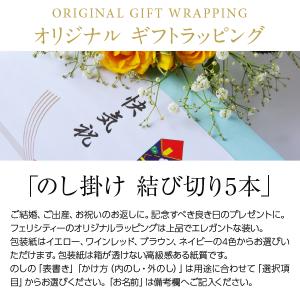 包装紙+のし掛け 【結び切り水引5本】 快気祝...の詳細画像1