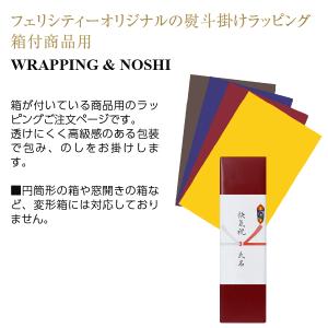 包装紙+のし掛け 【結び切り水引5本】 快気祝...の詳細画像3