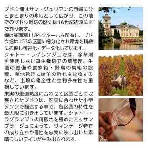 白ワイン フランス ボルドー レ ザルム ド ...の詳細画像2