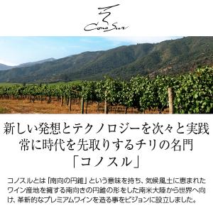 赤ワイン チリ コノスル ピノノワール オーガ...の詳細画像1