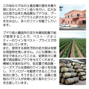 白ワイン イタリア コンティ ゼッカ ドンナ ...の詳細画像2