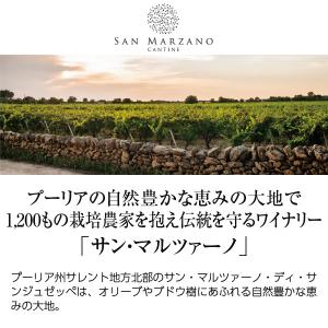 赤ワイン イタリア サン マルツァーノ タロ ...の詳細画像1