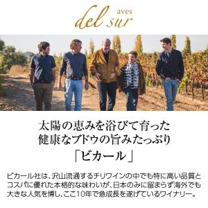 白ワイン チリ デル スール ゲヴュルツトラミ...の詳細画像1