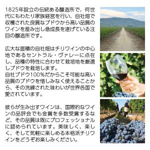 白ワイン チリ デル スール ゲヴュルツトラミ...の詳細画像2