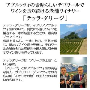 ポイント5倍 白ワイン イタリア テッラ ダリ...の詳細画像2
