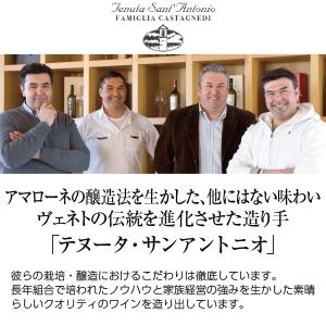 白ワイン イタリア テヌータ サンアントニオ ...の詳細画像1