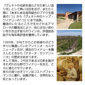 白ワイン イタリア テヌータ サンアントニオ ...の詳細画像2