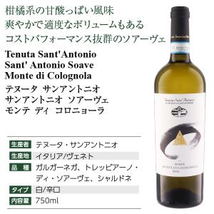 白ワイン イタリア テヌータ サンアントニオ ...の詳細画像3