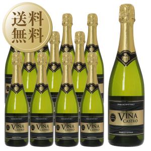 送料無料 スパークリングワイン スペイン ヴィーニャ カストロ ブリュット 750ml 12本 1ケース 包装不可 他商品と同梱不可