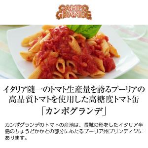 トマト缶 カンポグランデ ポモドーリ ペラーテ...の詳細画像1