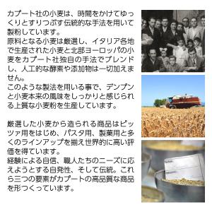 小麦粉 カプート ピッツェリア 小麦粉 1kg...の詳細画像2