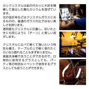 ワイングラス シュトルッツル クラシック レッ...の詳細画像2