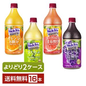 選べる ジュース 果汁入り飲料 よりどりMIX アサヒ Welchs ウェルチ 100 800gペットボトル 16本（8本×2箱） よりどり2ケース 送料無料