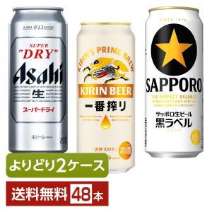 サッポロ 黒ラベル 500ml 24缶入 2ケース (48本) 送料無料 (一部地域