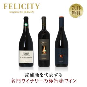 250円OFFクーポン 【7】赤ワインセット 注目の作り手 極旨赤ワイン 3本セット 第21弾 750ml×3 送料無料 包装不可 飲み比べ ワインセット｜felicity-y