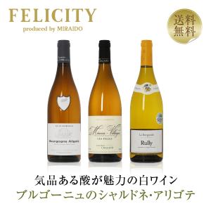 高貴なシャブリ 飲み比べ 3本セット フランス ブルゴーニュ 辛口 白