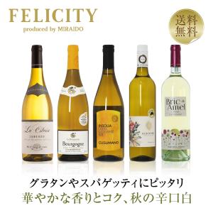 400円OFFクーポン 【2】白ワインセット 季節と楽しむワイン！ 春の白ワイン 5本セット 第1弾 750ml×5 送料無料 包装不可  飲み比べ ワインセット｜felicity-y