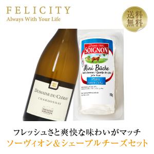 チーズ ワインセット ソーヴィオン＆シェーブルチーズセット 750ml 送料無料 クール代込 包装不可 ワインセット｜felicity-y