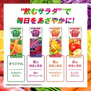 カゴメ 野菜生活 100 アップルサラダ 20...の詳細画像5