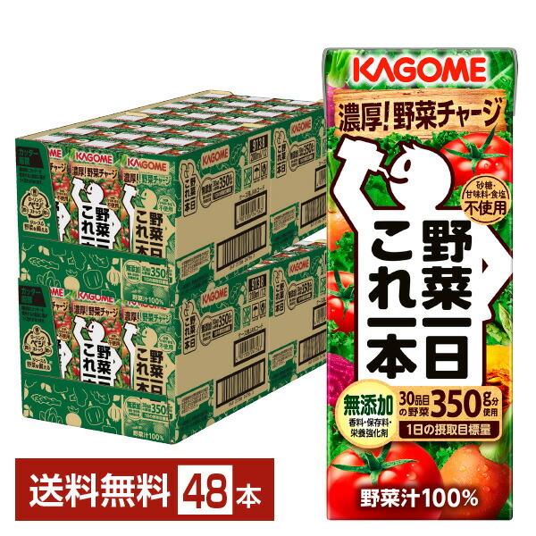 ポイント10倍 カゴメ 野菜一日これ一本 200ml 紙パック 24本×2ケース（48本） 送料無料