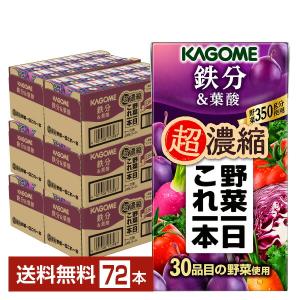 カゴメ 野菜一日これ一本 超濃縮 鉄分＆葉酸 125ml 紙パック 24本×3ケース（72本） 送料無料
