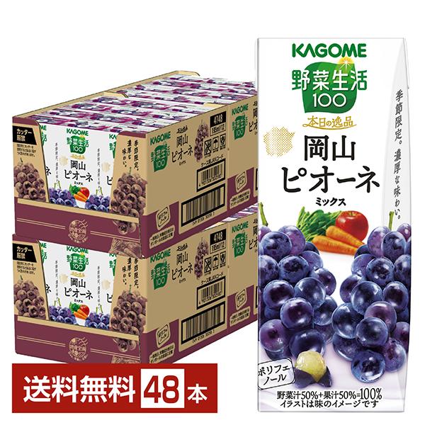 季節限定 野菜生活100 本日の逸品 岡山ピオーネミックス カゴメ 195ml 紙パック 24本×2...