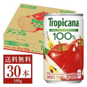 キリン トロピカーナ 100 アップル 160g 缶 30本 1ケース 送料無料 一部地域除く Kib0081 フェリシティー ビア ウォーター 通販 Yahoo ショッピング